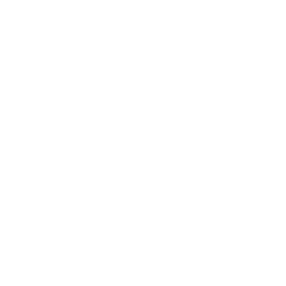 The Magick Shop